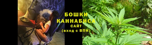 экстази Гусь-Хрустальный