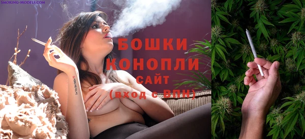 экстази Гусь-Хрустальный