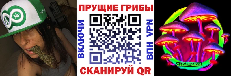 сайты даркнета Telegram  Черепаново  Псилоцибиновые грибы Cubensis  где продают  